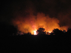 Medios estatales continúan actuando en apoyo de las Comunidades Autónomas afectadas por incendios forestales