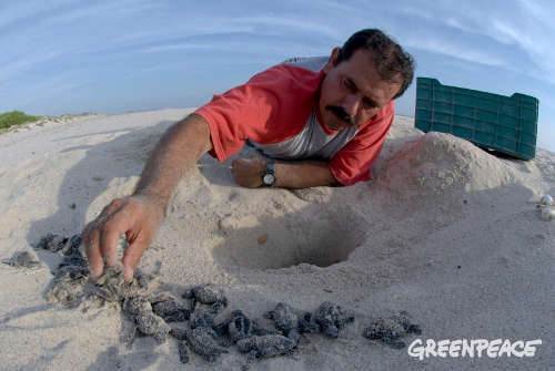 Hansa Urbana/ Destruir para especular