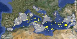 Oceana ha participado en la definición de las áreas prioritarias para la conservación del mar Mediterráneo