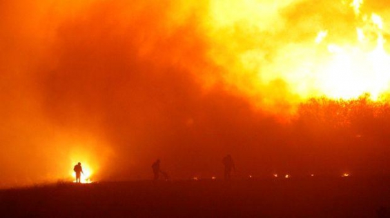 Chile. El país se enfrenta a uno de los más devastadores incendios de su historia