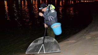 El SEPRONA ‘pilla’ a un furtivo con casi cuatro kilos de angula de Ribadesella