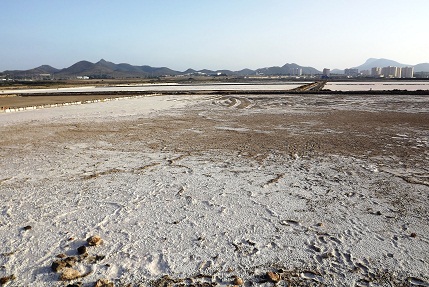 Anse denuncia la nueva desecación de las salinas de marchamalo (mar menor).