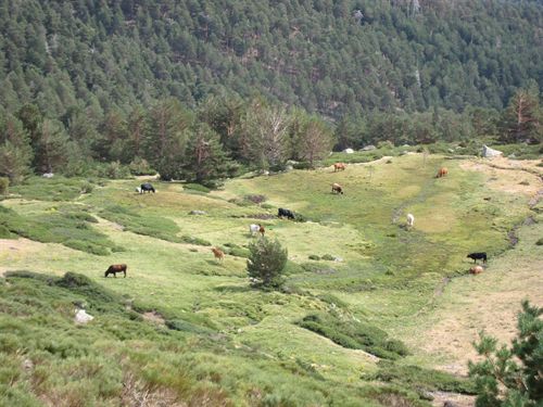 Toda la ‘oposición’ contra la Ley de Parques Naturales