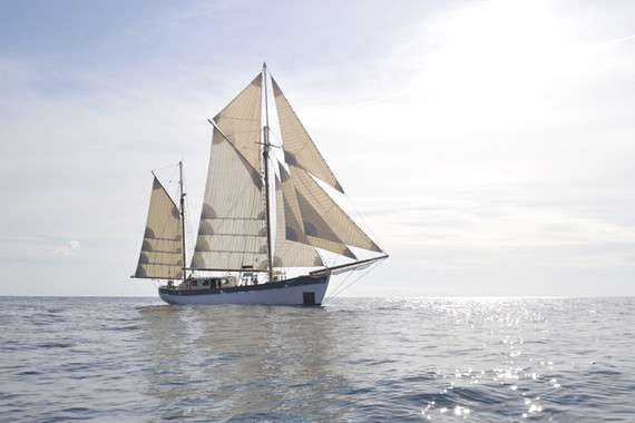 En busca de la contaminación sonora de los mares y océanos