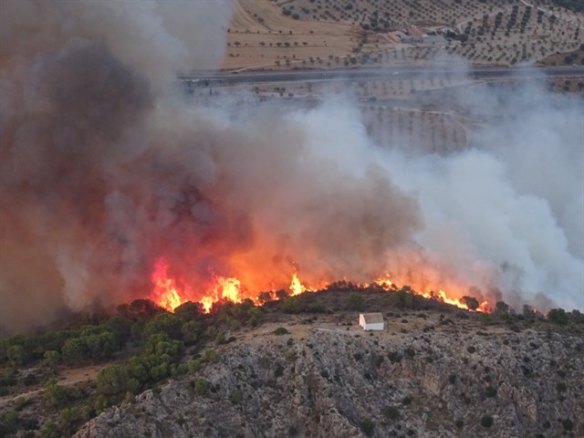 Murcia será pionera a nivel nacional al aplicar inteligencia artificial para prevenir los incendios forestales