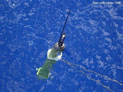 Programa Internacional de Observación del Océano Argo