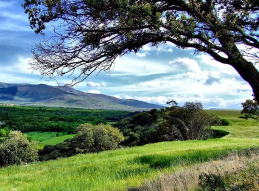 Ecologistas pide la suspensión de un rally en la Sierra del Guadarrama por transcurrir por espacios protegidos