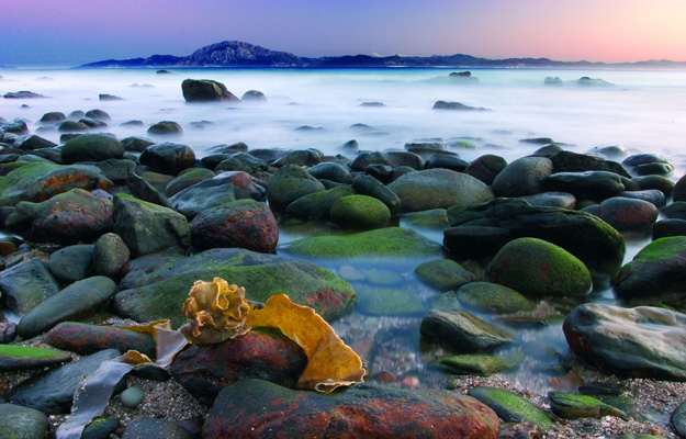 Debaten sobre la vigilancia ecológica del parque del Estrecho