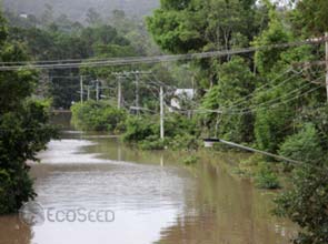 Australia at the crossroads vis-à-vis carbon pricing