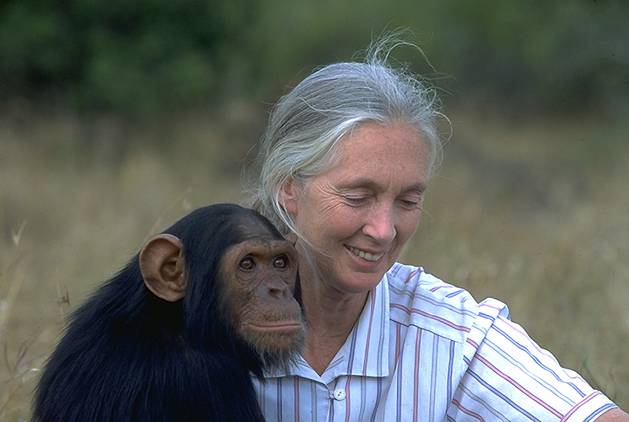 La Dra. Jane Goodall repudia la muerte injustificable de dos chimpancés en Mallorca
