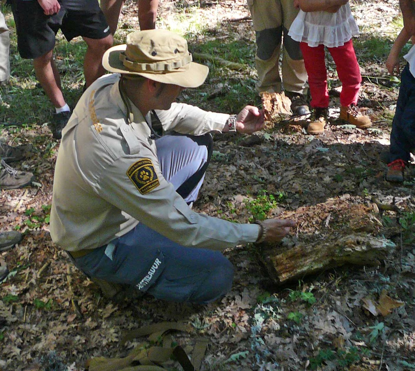 Segovia. El Paseo de Verano ‘Huellas y señales’ ofrece la posibilidad de aprender a localizar e interpretar los rastros de los animales