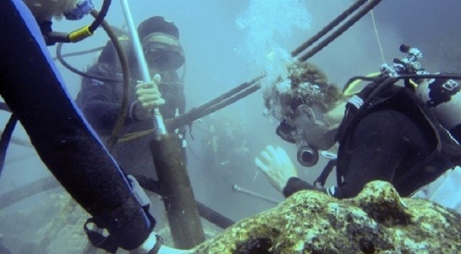 Sorprendente evidencia de calentamiento del mar en Islas Galápagos