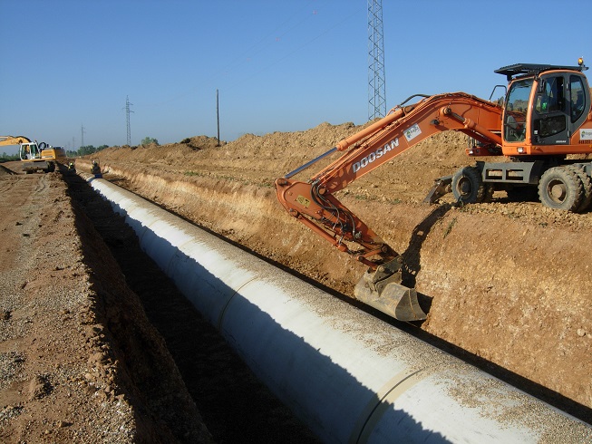 El Ministerio de Agricultura
