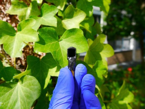 Artificial leaf: New efficiency record for solar hydrogen production is 14 percent