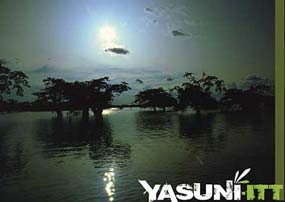 Destacan avances de iniciativa ecuatoriana Yasuní-ITT