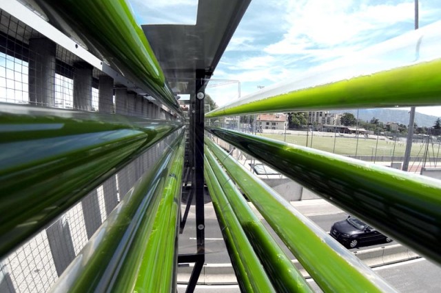 Conoce la nueva energía verde