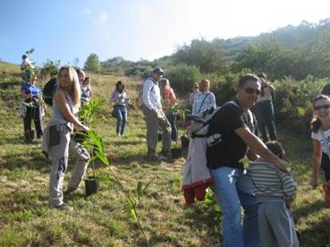 Reforestación del Parque Natural de las Ubiñas-La Mesa