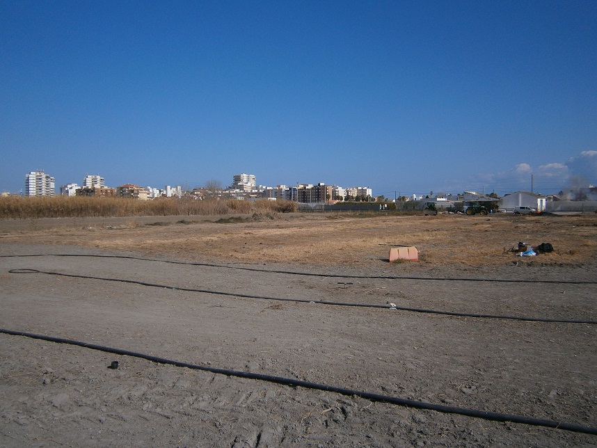 Proyecto para recuperar uno de los marjales de L´Albufera
