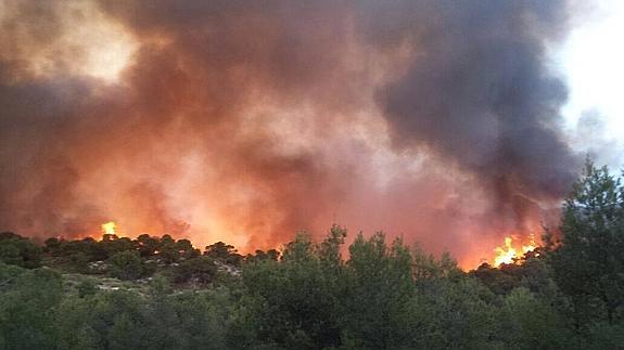 Podemos exige medidas "urgentes" a la Junta para recuperar la zona afectada por el incendio de Quesada