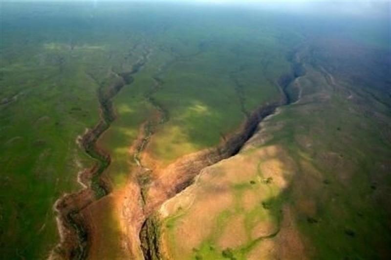 Qué está pasando en el ‘Congreso Mundial de la UICN’ de Hawai
