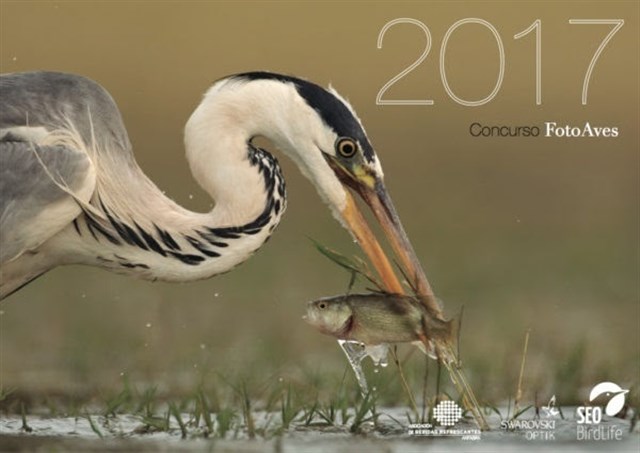 Fotoaves 2016 de SEO/BirdLife