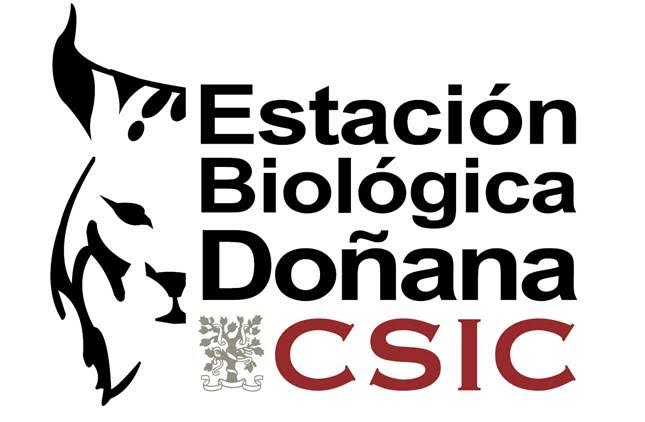 El CSIC triunfa en los ‘Watson Raptor Science 2015’