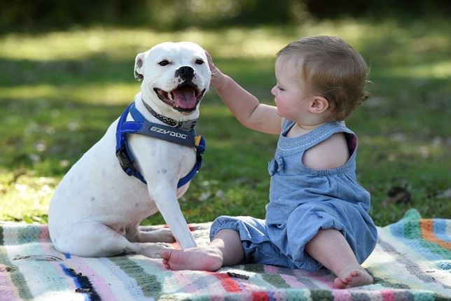 Tres patas y una niña