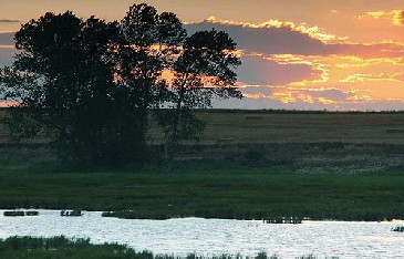 La Rioja. Medio Ambiente celebrará el domingo una jornada de anillamiento científico y observación en el humedal de La Degollada