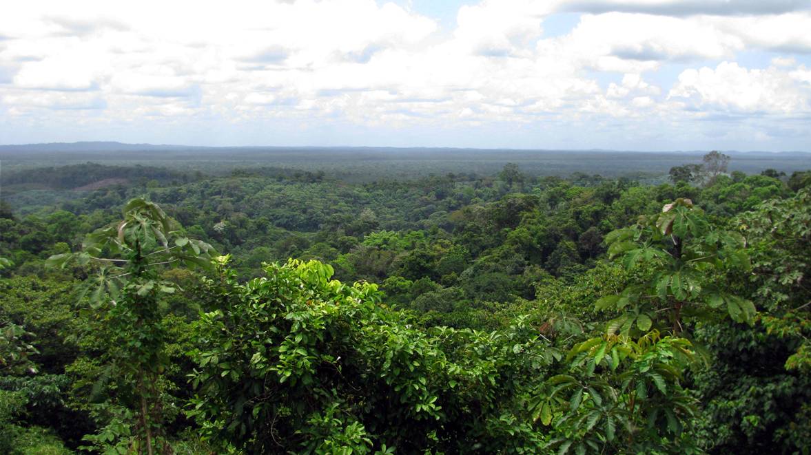 Científicos europeos se unen para establecer una nueva diplomacia del fosforo