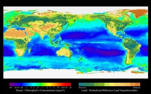 Aseguran que se puede detectar a El Niño con un año de antelación