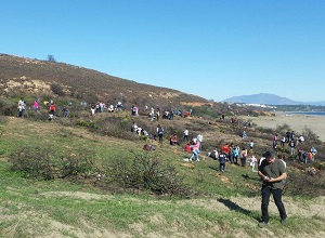 Preparativos para la 2ª repoblación en Sierra Carbonera