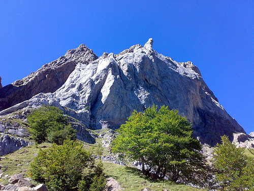 Quieren incentivar la ganadería extensiva en Red Natura 2000 y zonas oseras