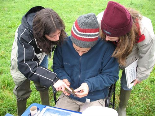 SEO/BirdLife acredita a los cinco primeros profesionales del turismo ornitológico de la iniciativa Iberaves