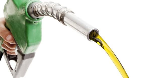 Bioenergía ‘reina’ de Europa