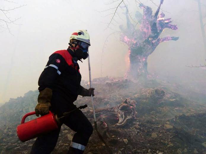 Agricultores y ganaderos se ‘rebelan’ porque se les culpabiliza de los incendios forestales al norte del país