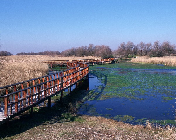 Medio Ambiente se suma a la celebración del Día Mundial de los Humedales