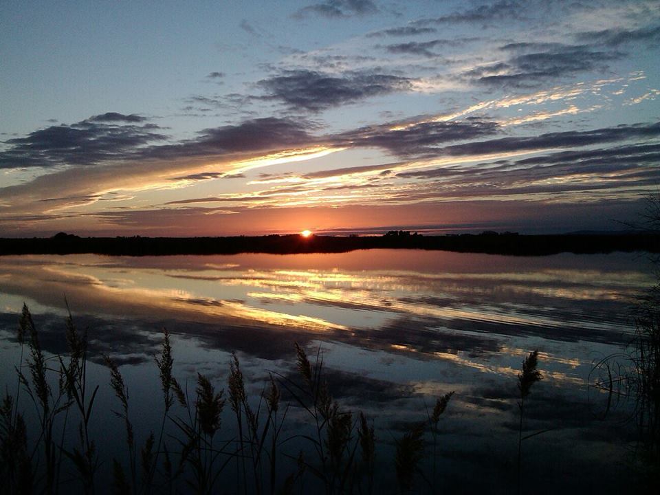 Ecoturismo Castilla-La Mancha celebra el Día Internacional de los Humedales