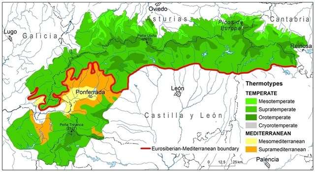 Conoces la mayor obra científica de la vegetación de la península Ibérica