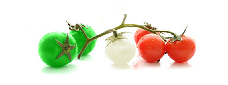 Qué organismos genéticamente modificados se cultivan en México