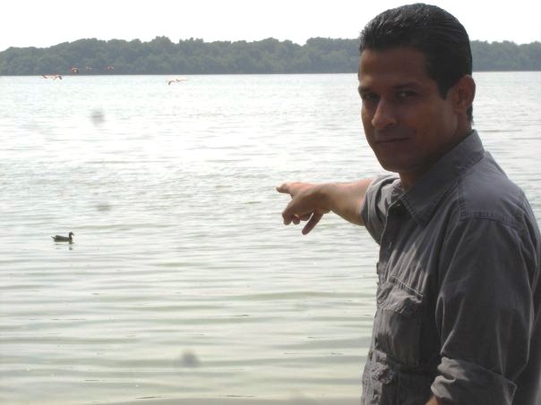 2011 Año Internacional de los Bosques: Otra pérdida de tiempo