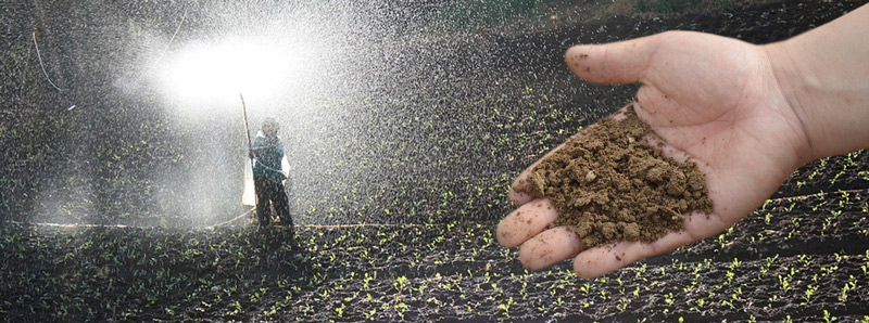 Agricultura a lo grande con micro y nanofertilizantes