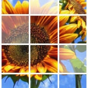 Visita a la fábrica de colectores solares térmicos en Las Palmas