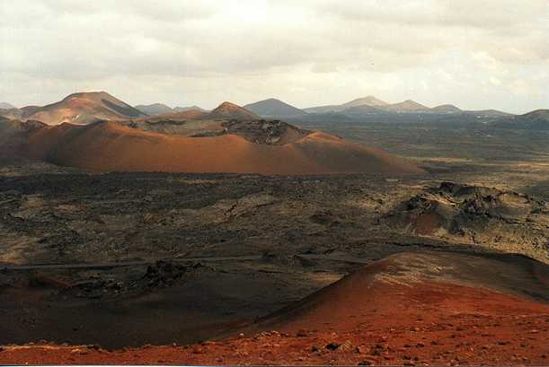 Parques Nacionales publica el libro Poblaciones y comunidades marinas del litoral del Parque Nacional de Timanfaya
