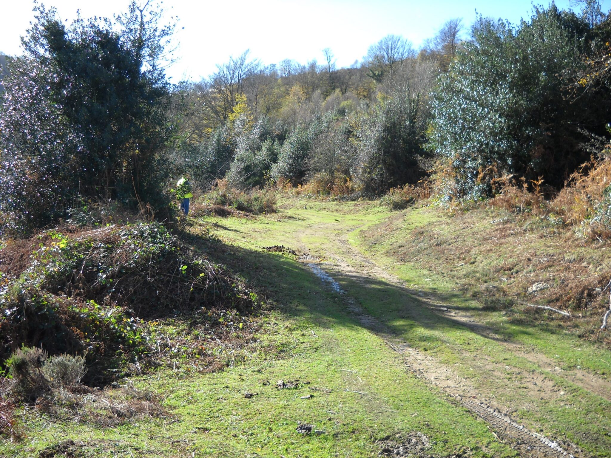 Asturias. La empresa no se cree el proyecto de Mina Julita en Lena