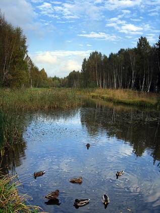 Conoce la campaña Revive tu naturaleza
