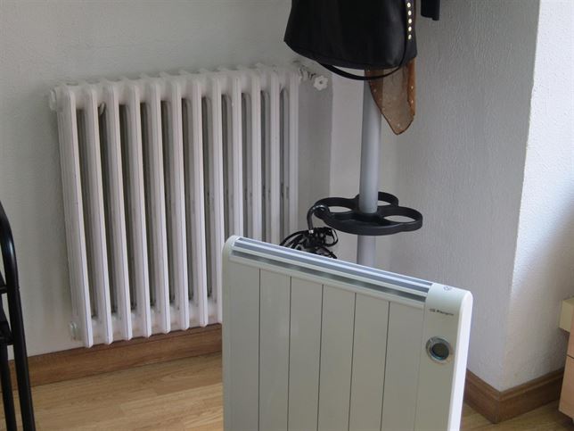 Castilla y León quiere cubrir la demanda de calefacción solo con energías renovables