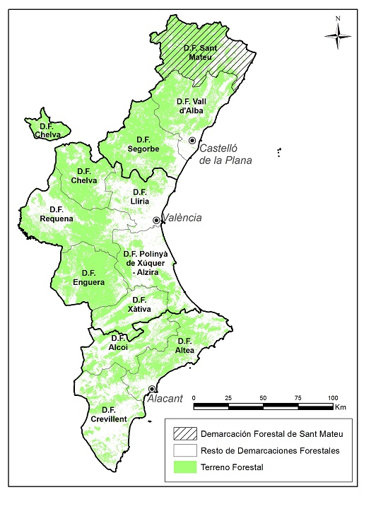Los bosques del tercio norte de Castellón generan 53 millones de euros al año
