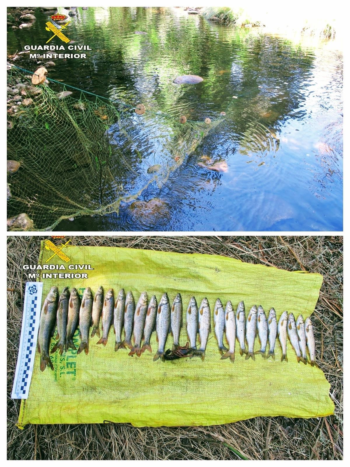 Sorprenden a una persona que usaba artes "prohibidas" para la pesca en un río en Castañar de Ibor