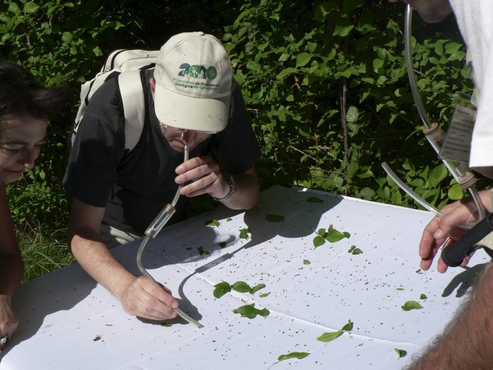 Científicos catalanes peinan el Moianès para hacer un inventario biológico