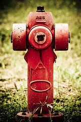 Ayudas para paliar los últimos incendios